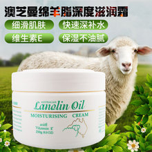 银行娱乐