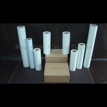 鸿胜真人