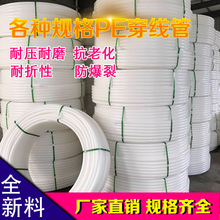香港最真正最准资料z6尊龙旗舰厅官网