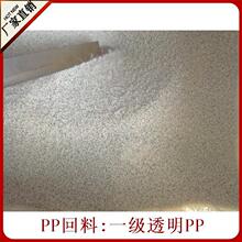 其他纸浆b74-743