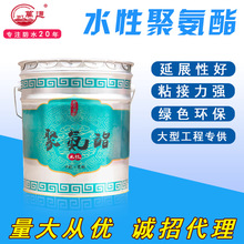 彩天下