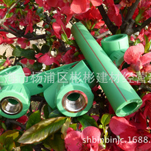 尊亿彩票网址