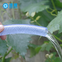 网上大发体育登录